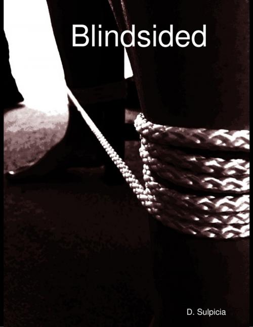 Cover of the book Blindsided by D. Sulpicia, Lulu.com