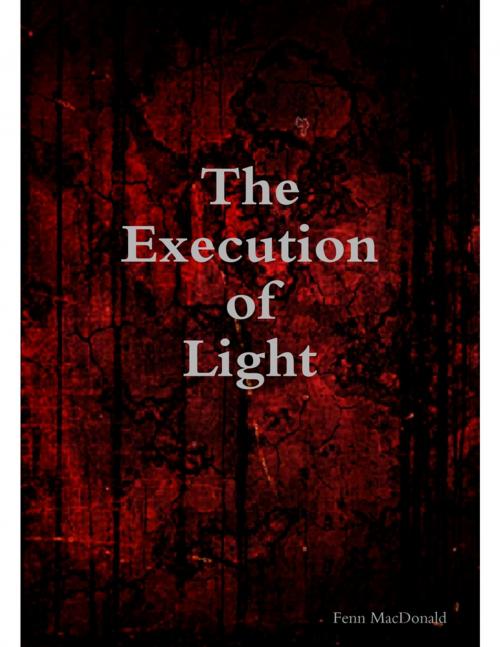 Cover of the book The Execution of Light by Fenn MacDonald, Lulu.com
