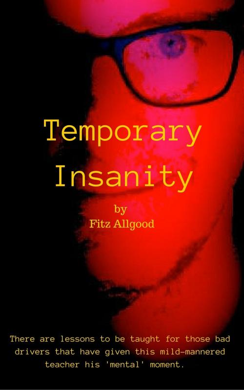 Cover of the book Temporary Insanity by Fitz Allgood, Fitz Allgood