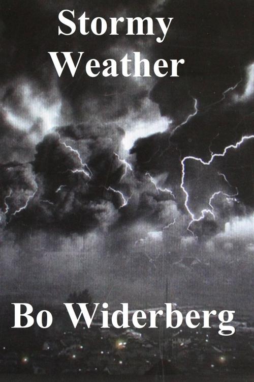 Cover of the book Stormy Weather by Bo Widerberg, Bo Widerberg