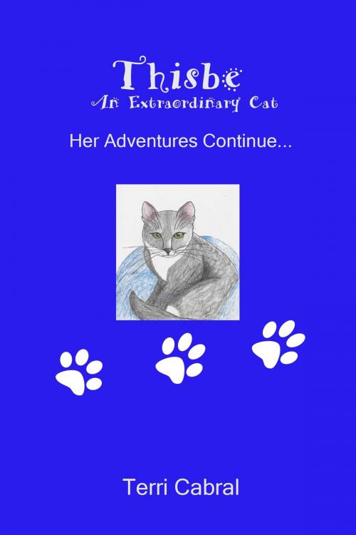 Cover of the book Thisbe An Extraordinary Cat Her Adventures Continue... by Terri Cabral, Terri Cabral