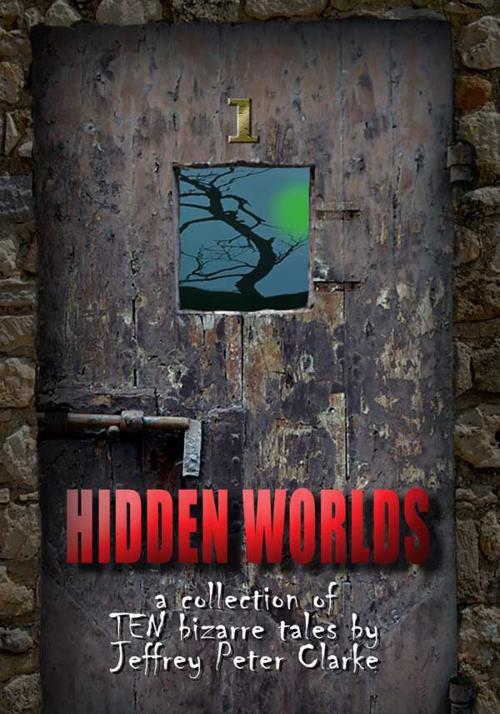 Cover of the book Hidden Worlds: 1 by Jeffrey Peter Clarke, Fiction4All