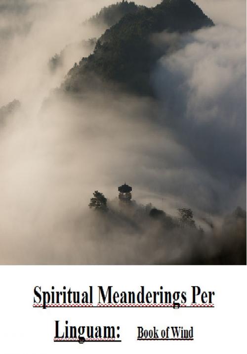 Cover of the book Spiritual Meanderings per Linguam: Book of Wind by Aaron Mayo, Aaron Mayo