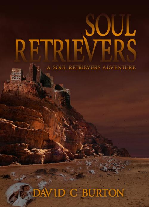 Cover of the book Soul Retrievers: A Soul Retrievers Adventure by David Burton, David Burton