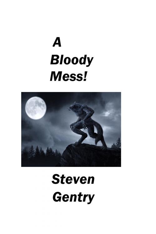 Cover of the book A Bloody Mess by Steven A. Gentry, Steven A. Gentry