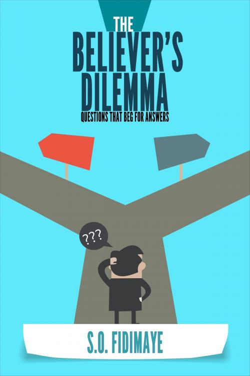 Cover of the book The Believer's Dilemma by Samson Fidimaye, Wordedge Digital Media