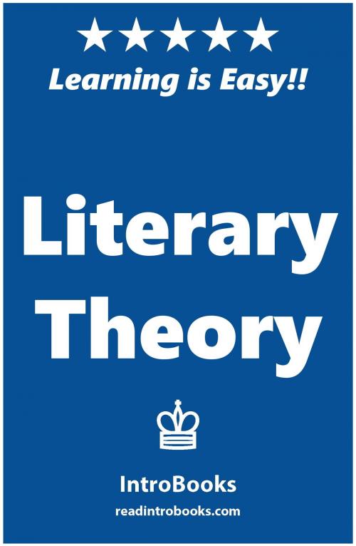 Cover of the book Literary Theory by IntroBooks, IntroBooks