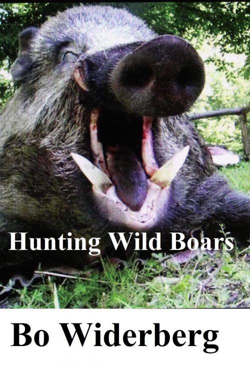 Cover of the book Hunting Wild Boars by Bo Widerberg, Bo Widerberg