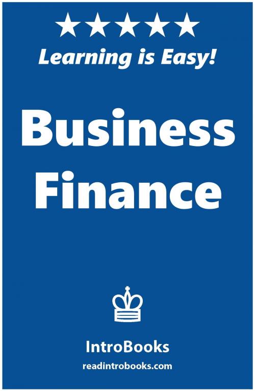 Cover of the book Business Finance by IntroBooks, IntroBooks