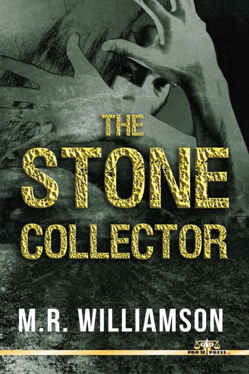 Cover of the book The Stone Collector by M. R. Williamson, Pro Se Press
