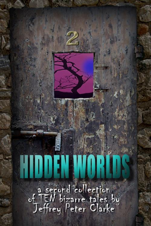 Cover of the book Hidden Worlds: 2 by Jeffrey Peter Clarke, Fiction4All