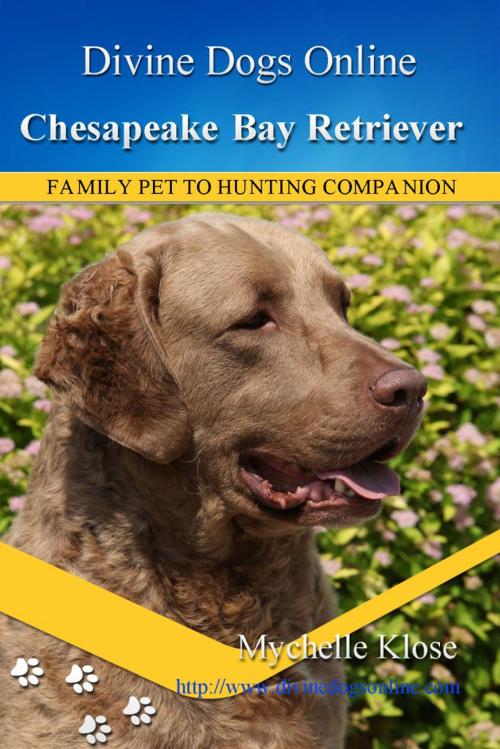 Cover of the book Chesapeake Bay Retriever by Mychelle Klose, Mychelle Klose