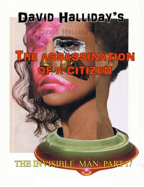 Cover of the book The Assassination of a Citizen by David Halliday, David Halliday