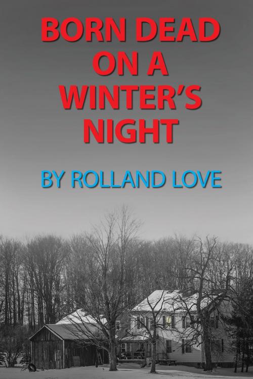 Cover of the book Born Dead on a Winter's Night by Rolland Love, Rolland Love