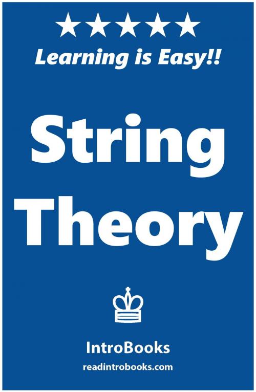 Cover of the book String Theory by IntroBooks, IntroBooks