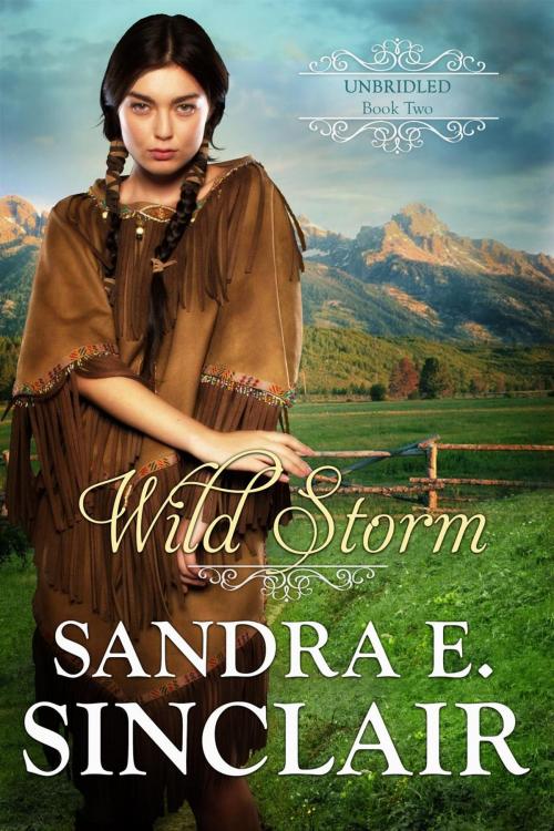 Cover of the book Wild Storm by Sandra E Sinclair, Sandra E Sinclair