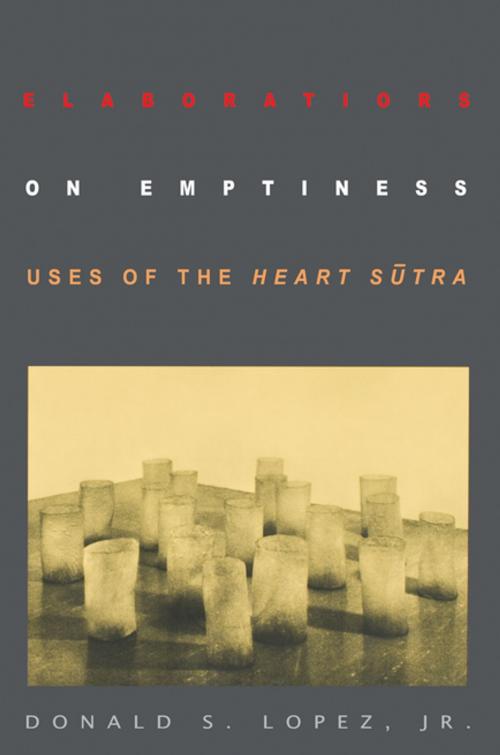 Cover of the book Elaborations on Emptiness by Donald S. Lopez, Jr., Princeton University Press