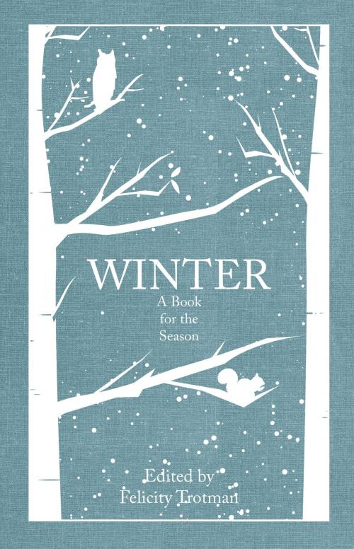 Cover of the book Winter by , Amberley Publishing