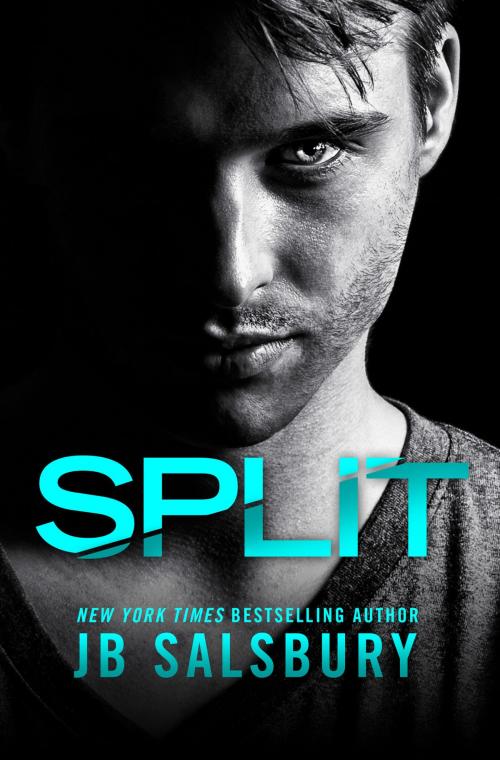 Cover of the book Split by JB Salsbury, Grand Central Publishing