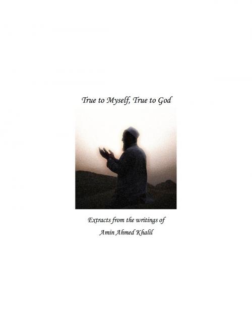Cover of the book True to Myself, True to God by Amin Ahmed Khalil, eBookIt.com