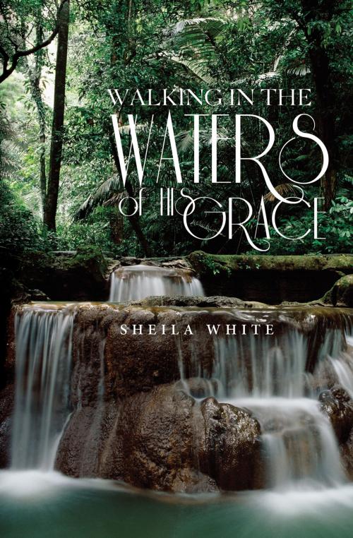 Cover of the book Walking in the Waters of His Grace by Sheila White, Essence Publishing