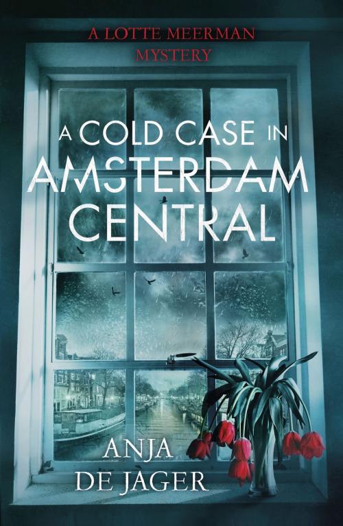 Cover of the book A Cold Case in Amsterdam Central by Anja de Jager, Little, Brown Book Group