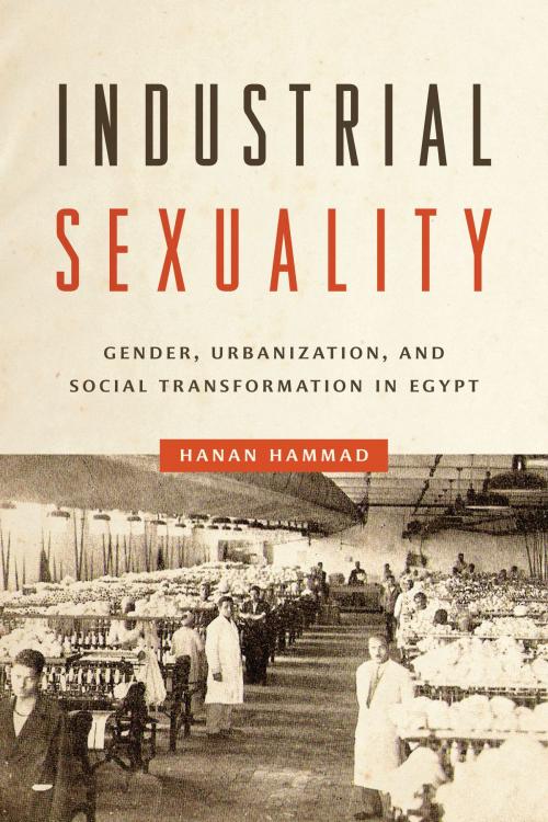 Cover of the book Industrial Sexuality by Hanan Hammad, University of Texas Press