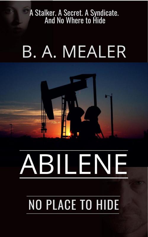 Cover of the book Abilene: No Place to Hide by B. A. Mealer, BAM Publishing