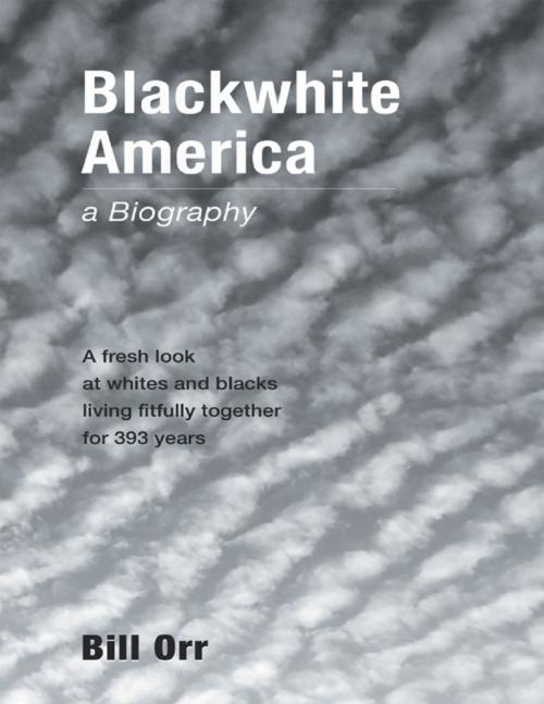 Cover of the book Blackwhite America: A Fresh Look at Whites and Blacks Living Fitfully Together for 393 Years by Bill Orr, Lulu Publishing Services