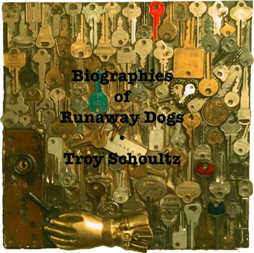 Cover of the book Biographies of Runaway Dogs by Troy Schoultz, BookBaby