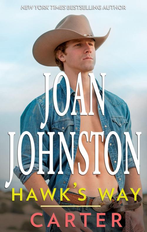 Cover of the book Hawk's Way: Carter by Joan Johnston, HQN Books