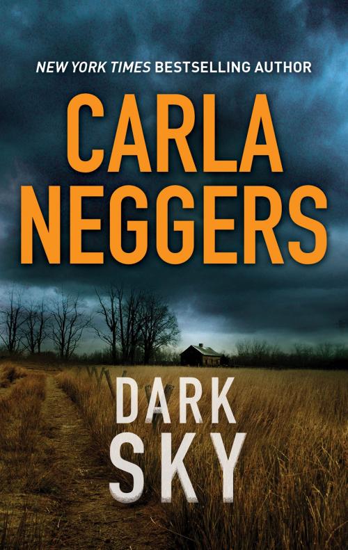 Cover of the book Dark Sky by Carla Neggers, MIRA Books
