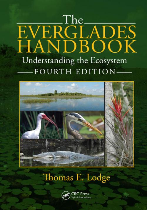 Cover of the book The Everglades Handbook by Thomas E. Lodge, CRC Press
