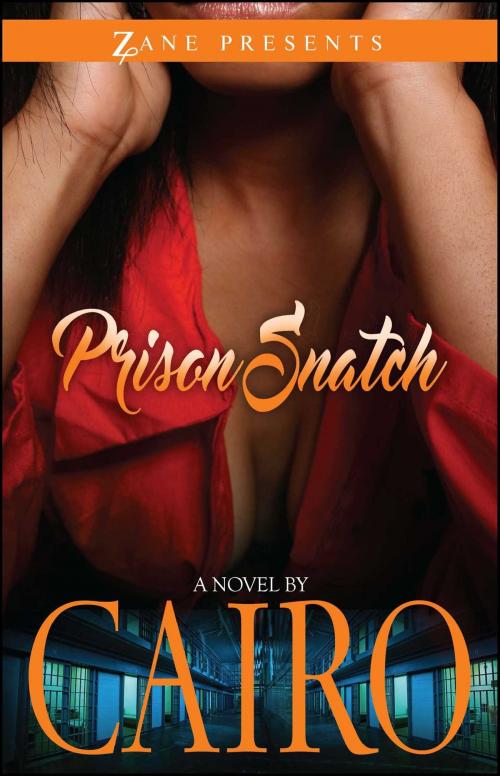 Cover of the book Prison Snatch by Cairo, Strebor Books