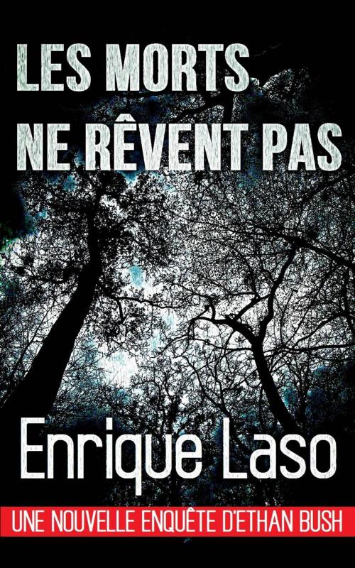 Cover of the book Les morts ne rêvent pas by Enrique Laso, Babelcube Inc.