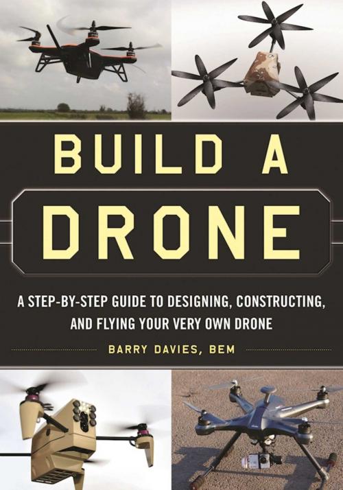 Cover of the book Build a Drone by Barry Davies, Skyhorse