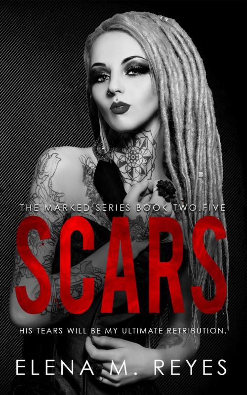 Cover of the book Scars by Elena M. Reyes, Elena M. Reyes