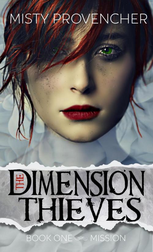 Cover of the book The Dimension Thieves (Book One, Mission) by Misty Provencher, Misty Provencher