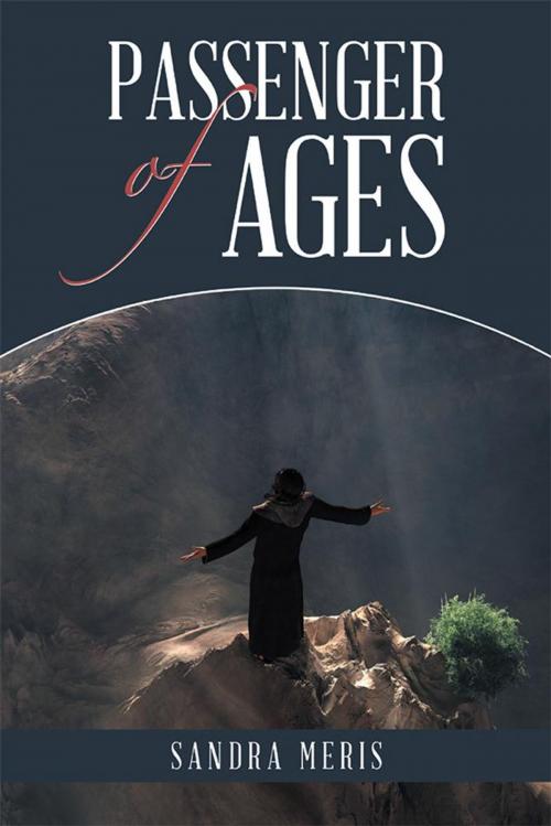 Cover of the book Passenger of Ages by Sandra Meris, WestBow Press