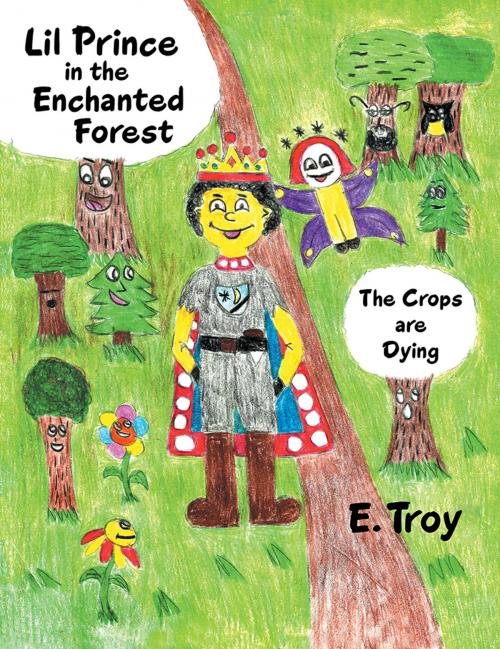 Cover of the book Lil Prince in the Enchanted Forest by E. Troy, WestBow Press