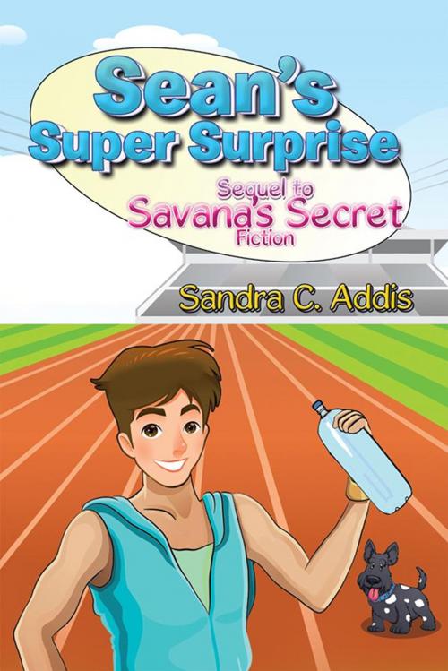 Cover of the book Sean’S Super Surprise by Sandra C Addis, Xlibris US