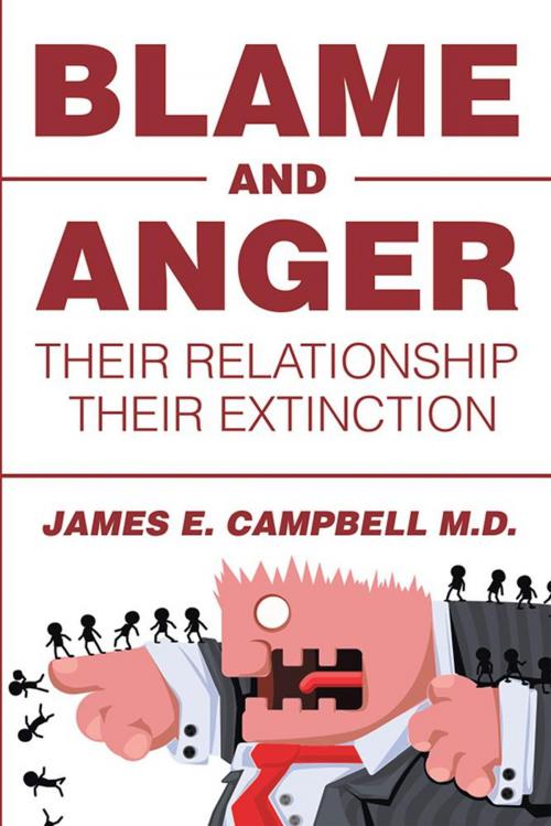 Cover of the book Blame and Anger by James E. Campbell M.D., Xlibris US