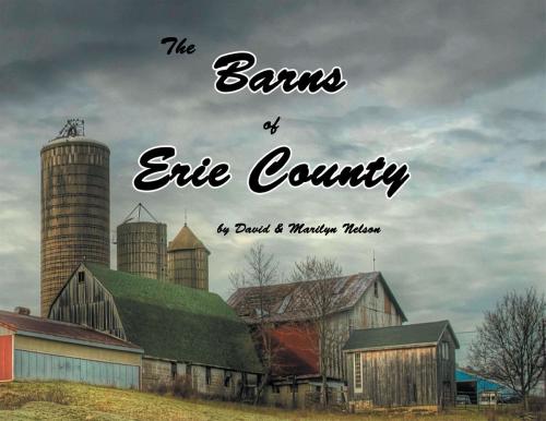 Cover of the book The Barns of Erie County by David Nelson, Marilyn Nelson, Xlibris US