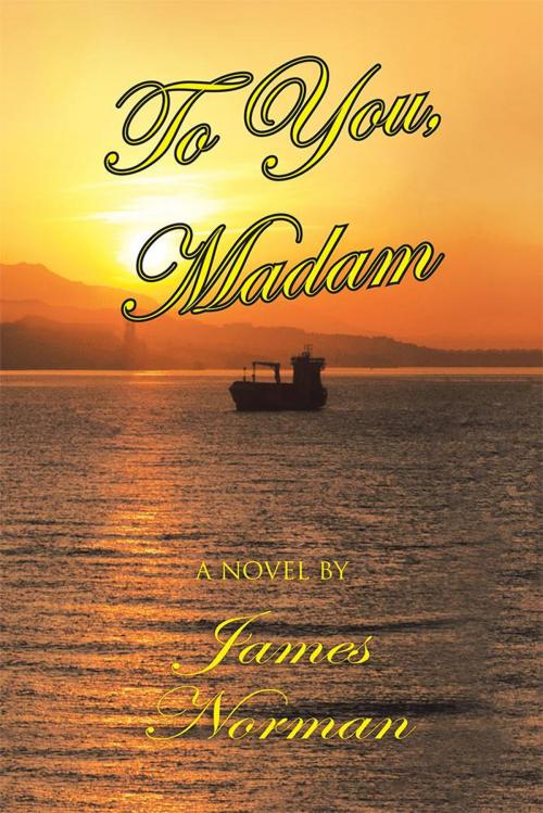 Cover of the book To You, Madam by James Norman, Xlibris US