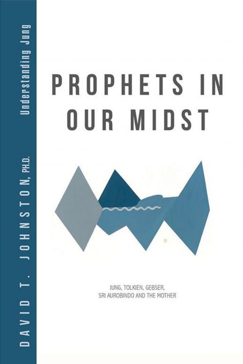 Cover of the book Prophets in Our Midst by David T. Johnston, iUniverse