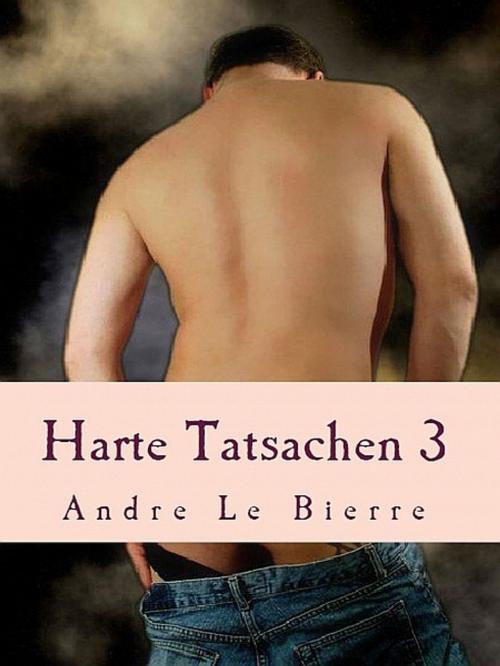 Cover of the book Harte Tatsachen 3 by Andre Le Bierre, Andre Le Bierre