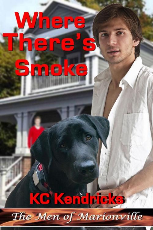 Cover of the book Where There's Smoke by KC Kendricks, White Deer Enterprises/White Deer Books
