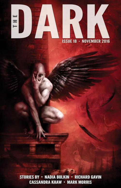 Cover of the book The Dark Issue 18 by Nadia Bulkin, Richard Gavin, Cassandra Khaw, Mark Morris, Prime Books