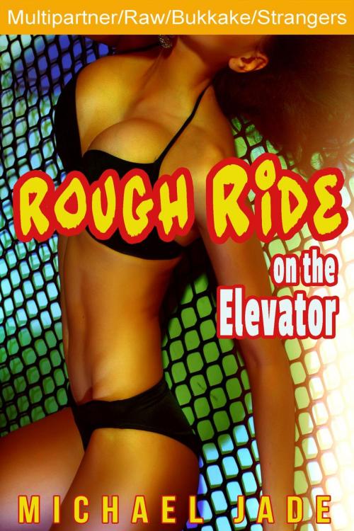 Cover of the book Rough Ride on the Elevator by Michael Jade, Michael Jade