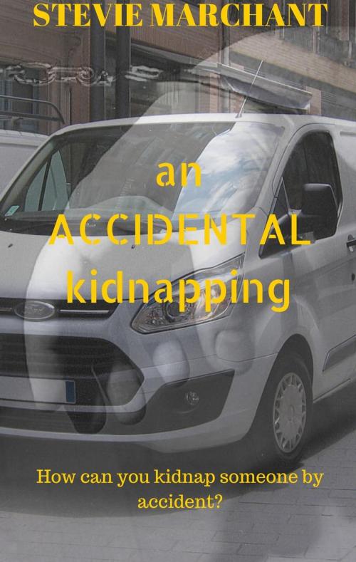 Cover of the book An Accidental Kidnapping by Stevie Marchant, Stevie Marchant